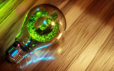How to Green Your Business: 4 Simple Tips