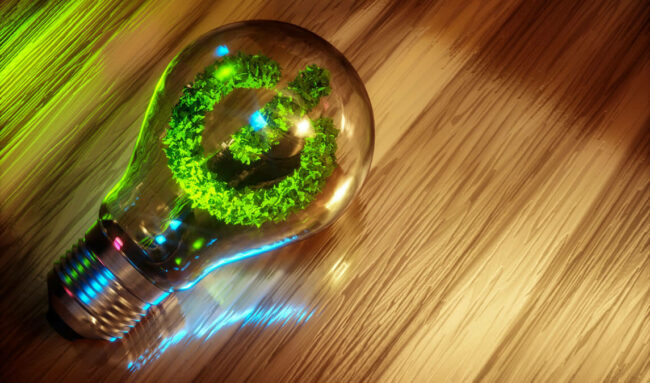 How to Green Your Business: 4 Simple Tips