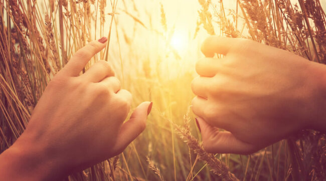 5 Ways to Achieve More Freedom in Your Life