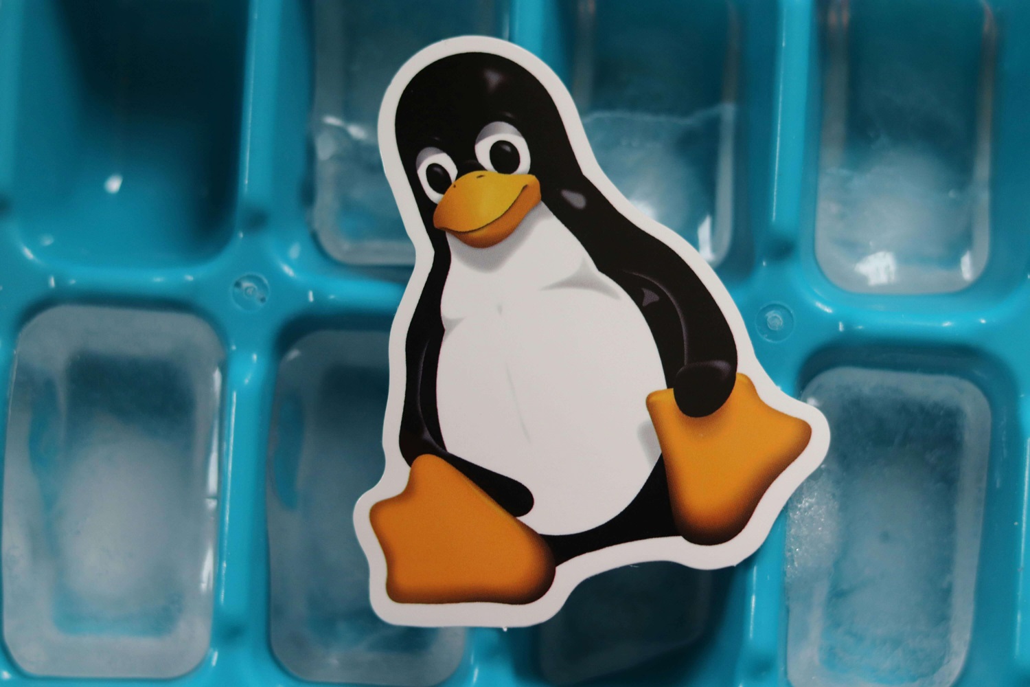 pexels-realtoughcandy-11034131 linux logo